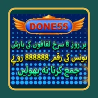 Done55 Game